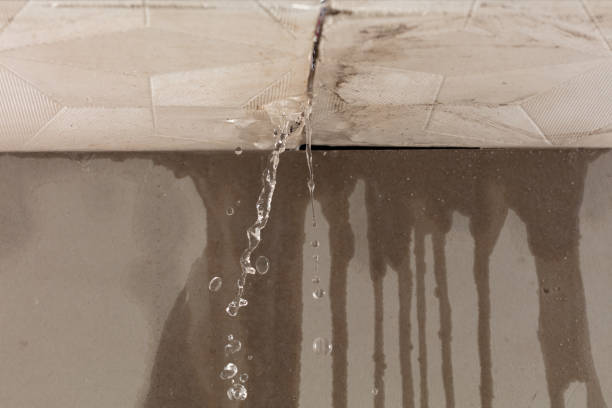Professional Flood Damage Cleanup technician working in Hallsville, MO